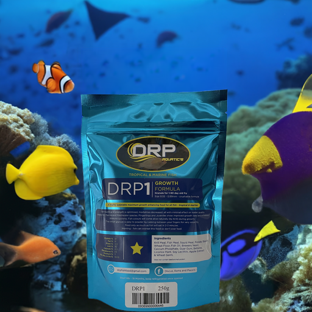 DRP 1