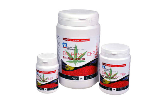 BF-CBD