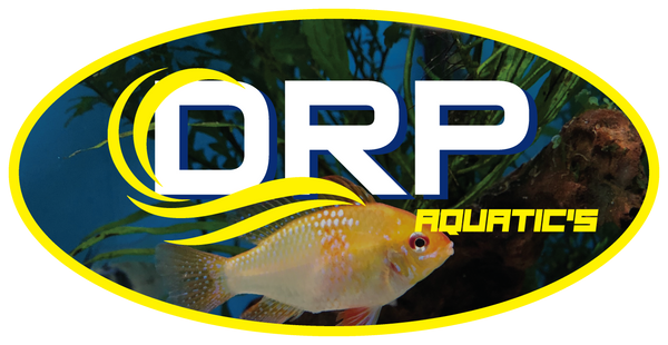 DRP Aquatics