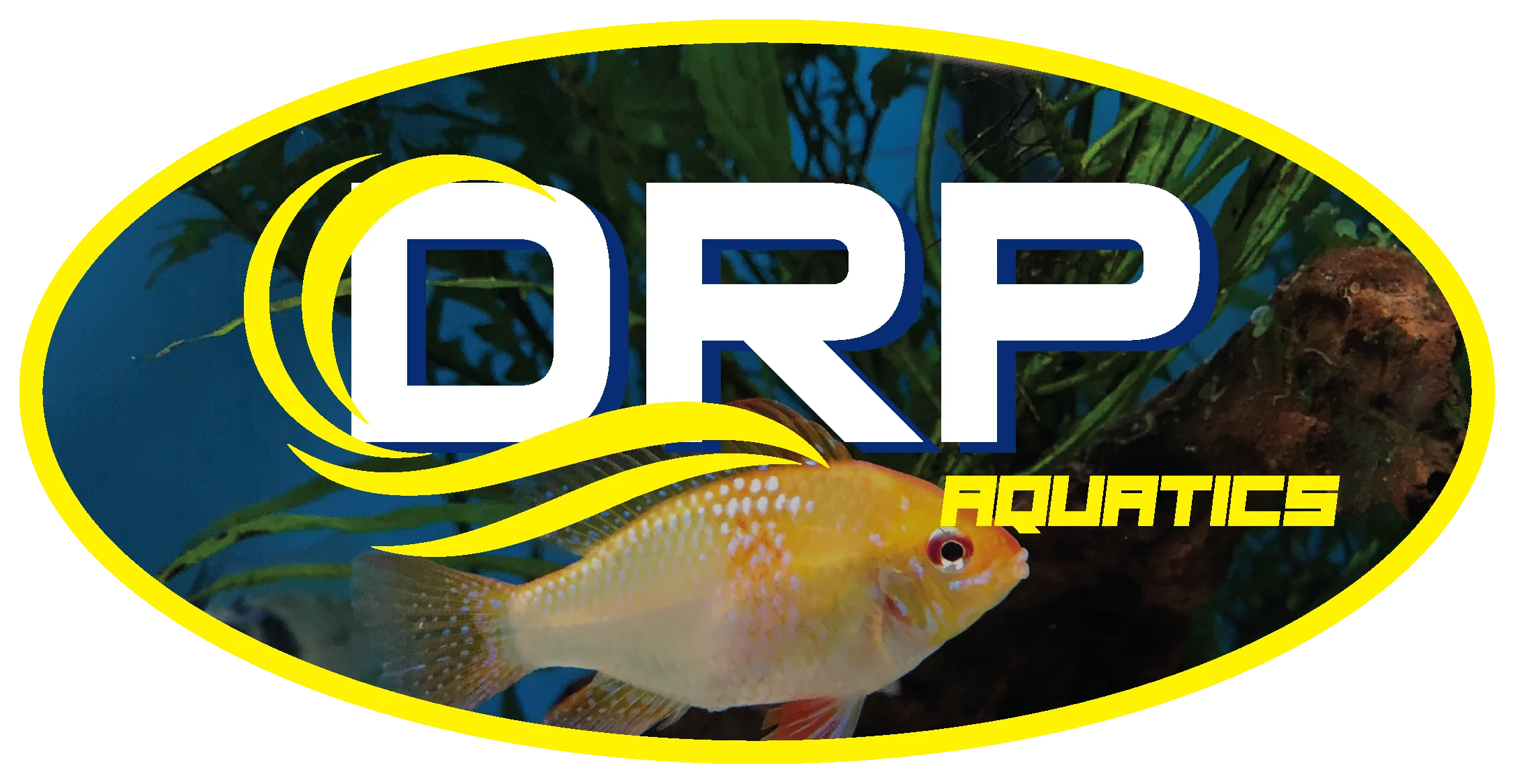 DRP Fish Food Direct Outlets in Australia