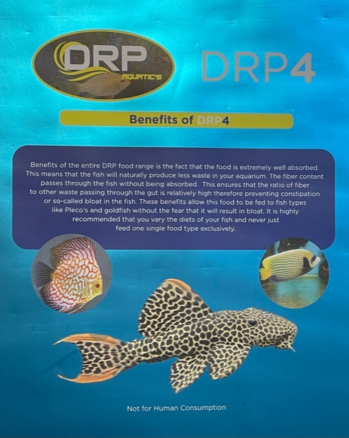 best queen fish food
